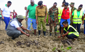 PS Dokota leads staff in mangrove restoration effort