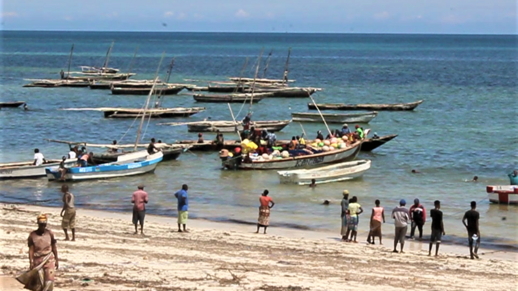 Covid-19 disrupts fish farming in Kilifi - Agrifood East Africa