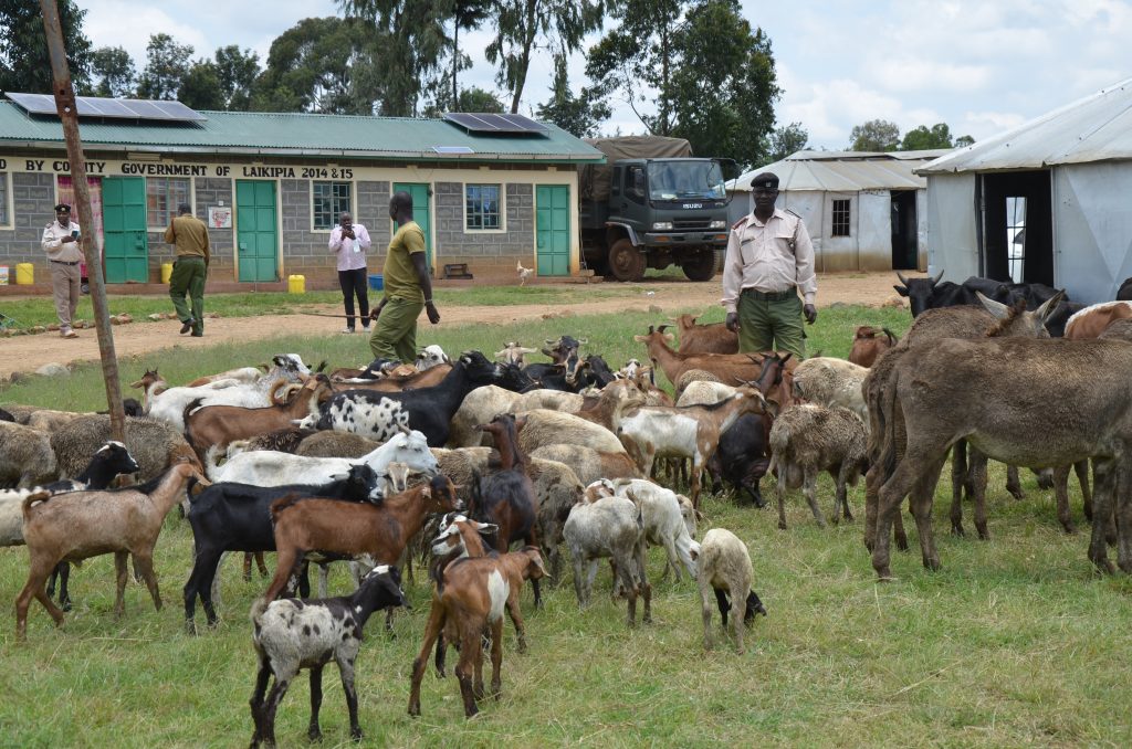 employ-home-based-npr-to-fight-cattle-rustling-kenya-news-agency