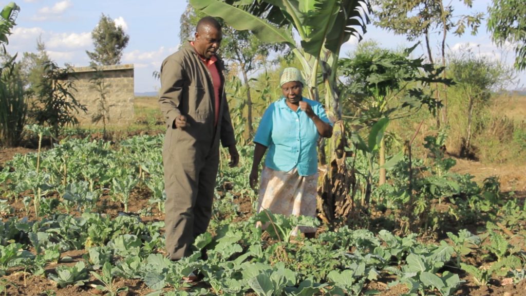 Liquid Earthworm Fertilizer Transforms Farms – Kenya News Agency